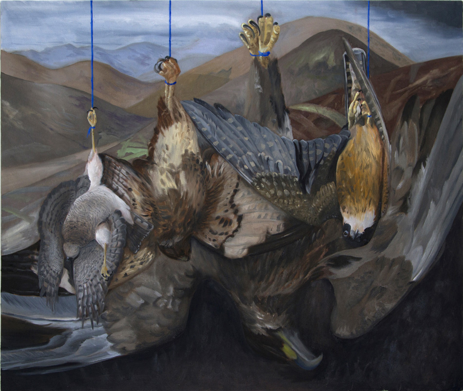 Paolo Doyle - Scottish wildlife